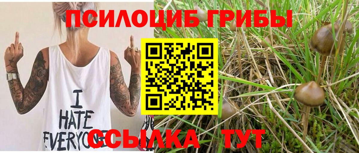 Галлюциногенные грибы Psilocybine cubensis  купить  цена  Стрежевой  Вход с VPN 